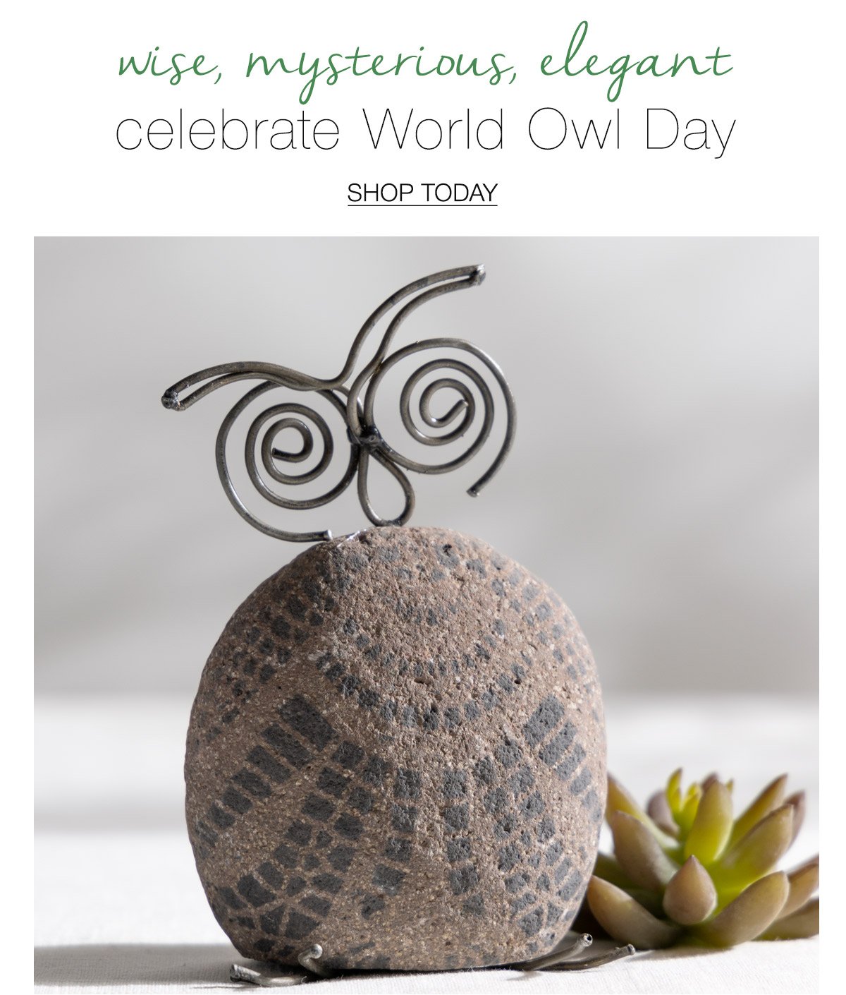 VTe-20260804-NationalOwlDay_01