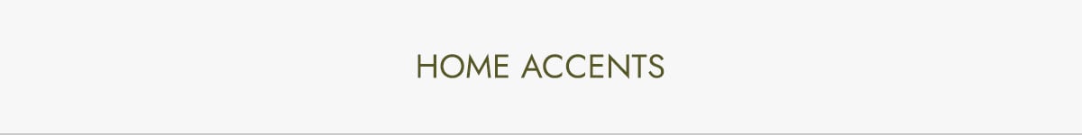 home agents vt